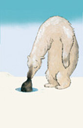Postkarten Motiv „Eisbär“